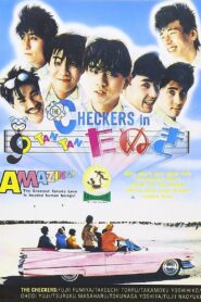 Checkers in Tan Tan tanuki 1984 on netflix