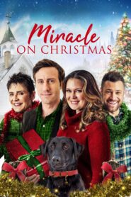 Miracle on Christmas 2020 on netflix