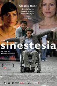 Sinestesia 2010 on netflix