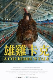 A Cockerel’s Tale 2019 on netflix