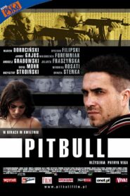 Pitbull 2005 on netflix
