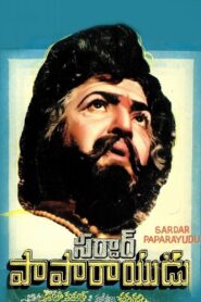 Sardar Papa Rayudu 1980 on netflix