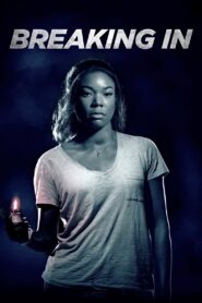 Breaking In 2018 on netflix