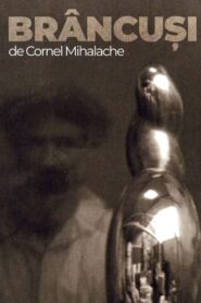 Brâncuși 1996 on netflix