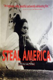 Steal America 1992 on netflix