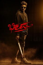 Bheema 2024 on netflix