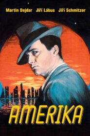 Amerika 1994 on netflix