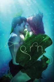 Torn 2022 on netflix