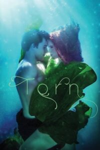 Torn 2022 on netflix