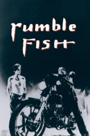 Rumble Fish 1983 on netflix