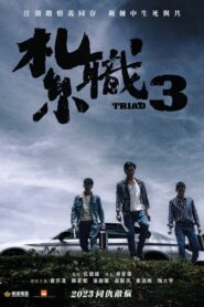 Triad 3 2024 on netflix