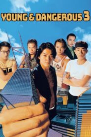 Young and Dangerous 3 1996 on netflix