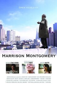 Harrison Montgomery 2008 on netflix