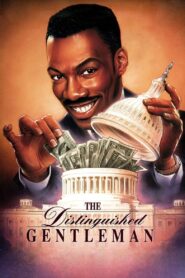 The Distinguished Gentleman 1992 on netflix