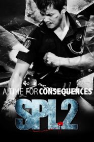 SPL 2: A Time for Consequences 2015 on netflix