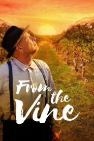 From the Vine 2019 on netflix