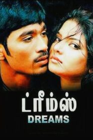 Dreams 2004 on netflix