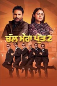 Chal Mera Putt 2 2020 on netflix