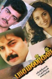 Paasamalargal 1994 on netflix