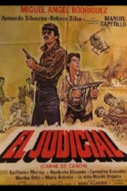 El judicial 1984 on netflix