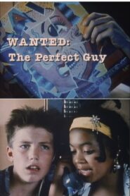 Wanted: The Perfect Guy 1986 on netflix