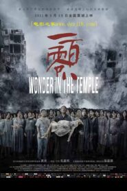 Wonder in the Temple 2021 on netflix