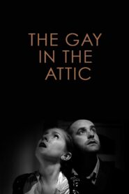 The Gay in the Attic 2011 on netflix