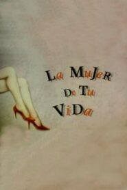 La mujer inesperada 1990 on netflix