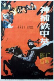 神捕铁中英 1991 on netflix