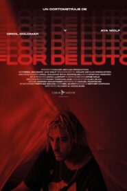 Flor de Luto 2020 on netflix