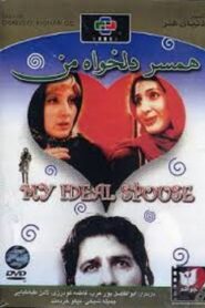 My Ideal Spouse 2000 on netflix