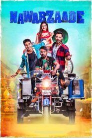 Nawabzaade 2018 on netflix