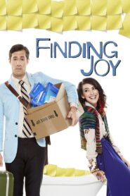 Finding Joy 2013 on netflix
