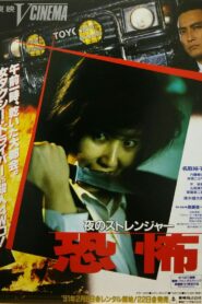 Stranger 1991 on netflix
