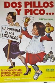 Dos pillos y pico 1981 on netflix