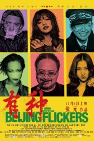 Beijing Flickers 2012 on netflix