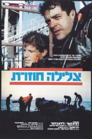 Repeat Dive 1982 on netflix