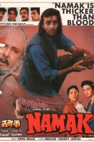 Namak 1996 on netflix