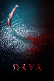 Diva 2020 on netflix