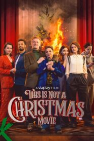 This Is Not a Christmas Movie 2024 on netflix