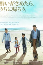 Wandering Home 2010 on netflix