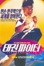 Taekwon Fighter 1995 on netflix