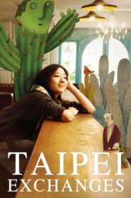 Taipei Exchanges 2010 on netflix