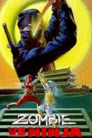 Zombie vs. Ninja 1987 on netflix