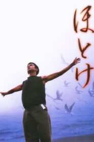 Hotoke 2001 on netflix