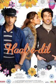 Haal-e-Dil 2008 on netflix