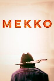 Mekko 2015 on netflix