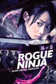 Rogue Ninja 2009 on netflix