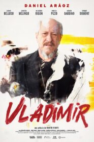 Vladimir 2024 on netflix