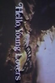 Hello, Young Lovers 1981 on netflix